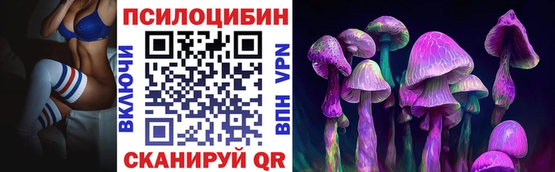 Галлюциногенные грибы Psilocybine cubensis  купить наркотик  Каменск-Уральский 